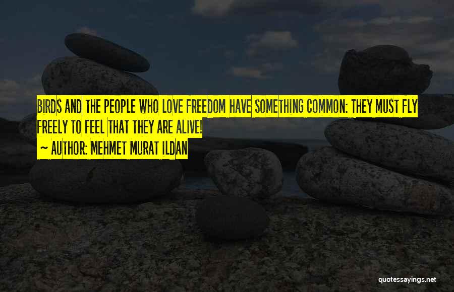 Birds And Freedom Quotes By Mehmet Murat Ildan