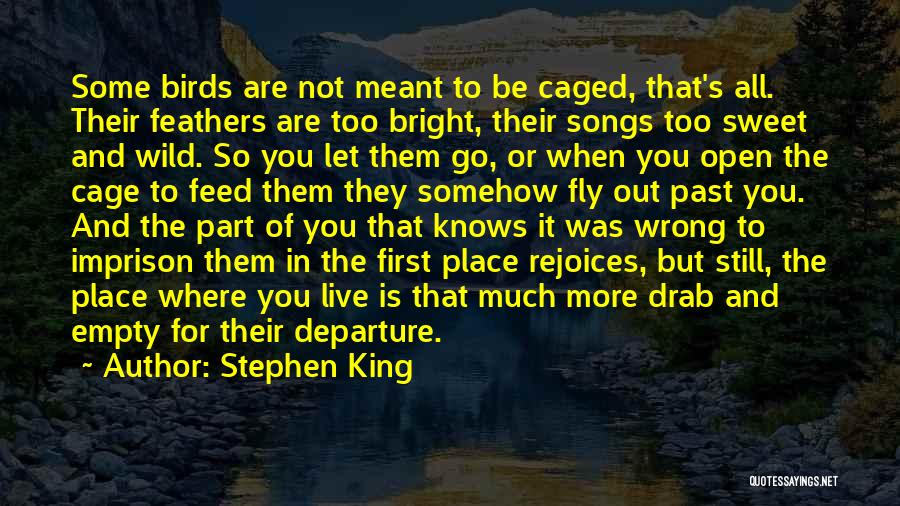 Birds And Freedom Quotes By Stephen King