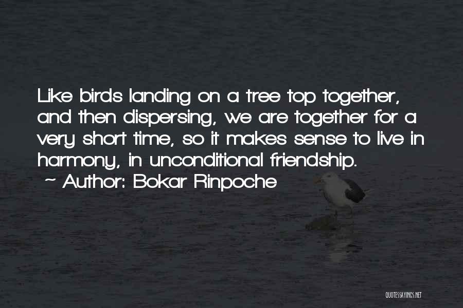 Birds And Friendship Quotes By Bokar Rinpoche