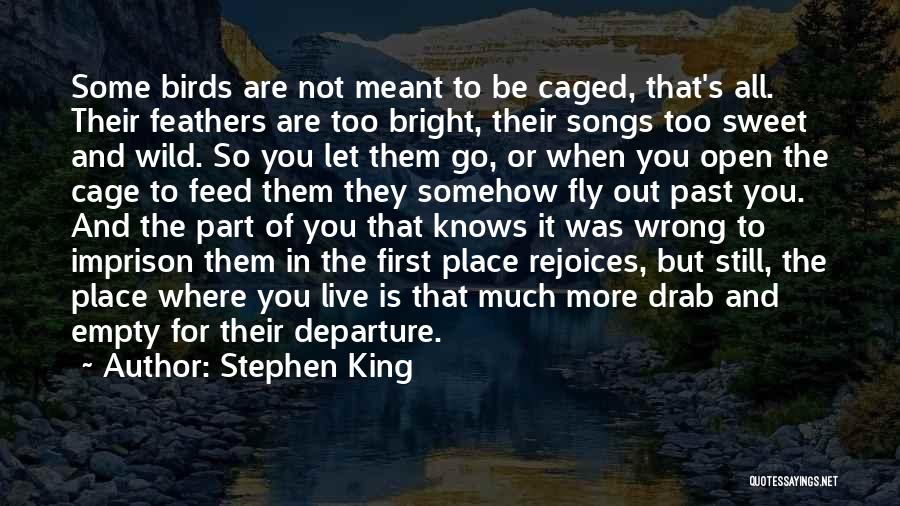 Birds And Friendship Quotes By Stephen King