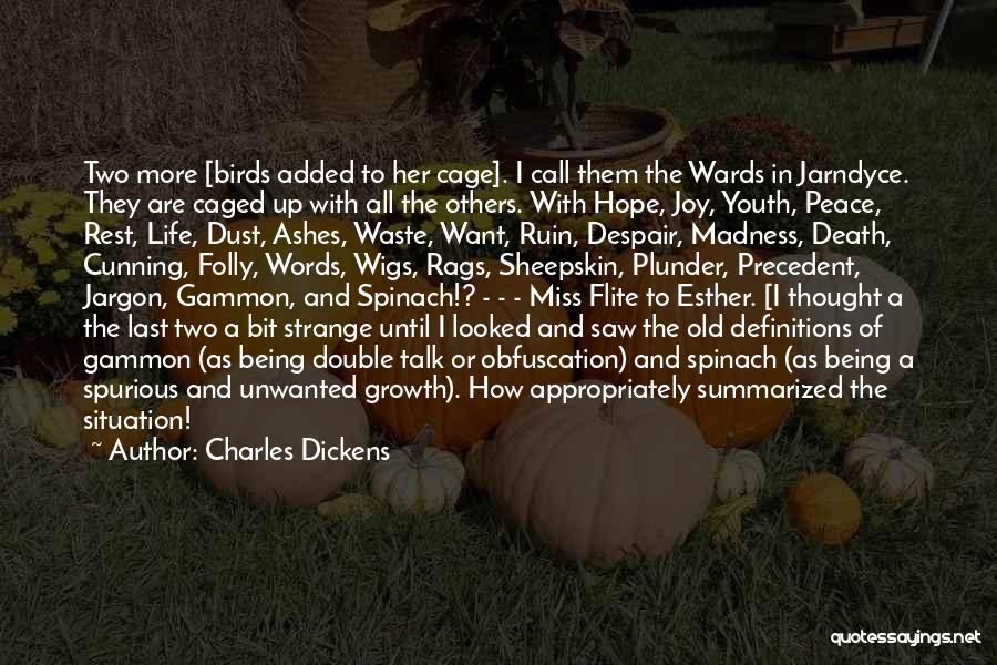 Birds And Hope Quotes By Charles Dickens