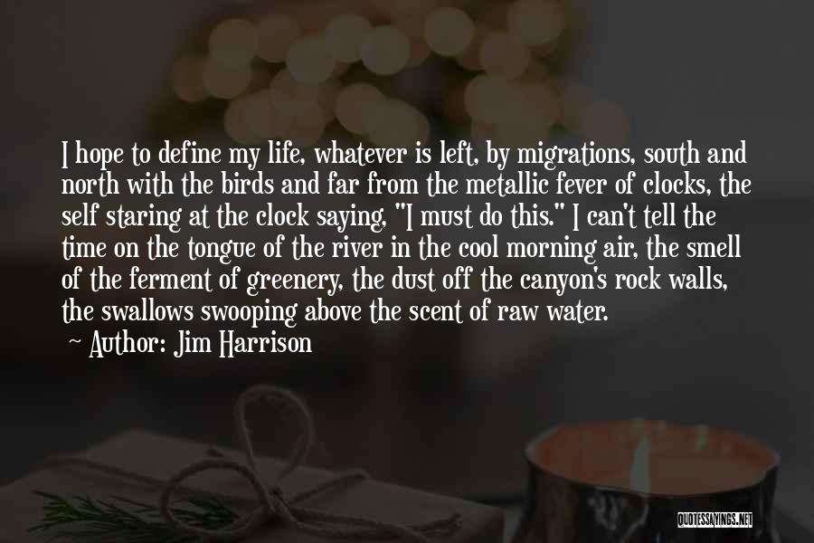 Birds And Life Quotes By Jim Harrison