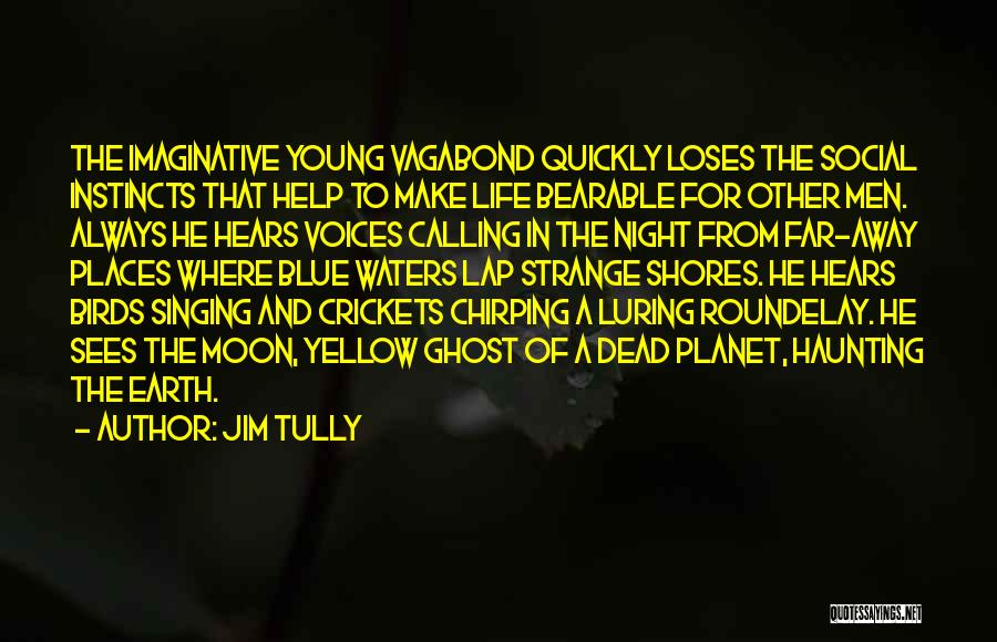 Birds And Life Quotes By Jim Tully