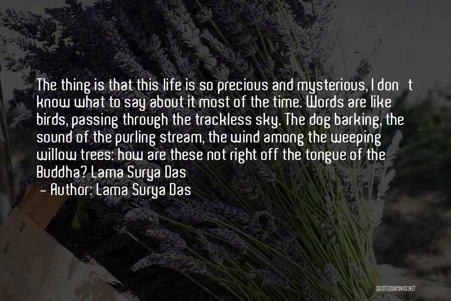 Birds And Life Quotes By Lama Surya Das