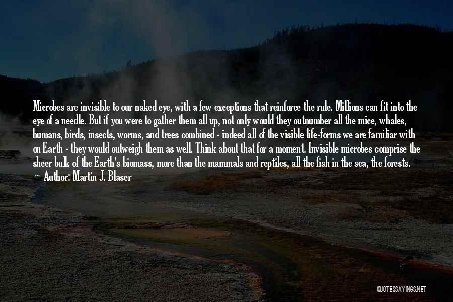 Birds And Life Quotes By Martin J. Blaser