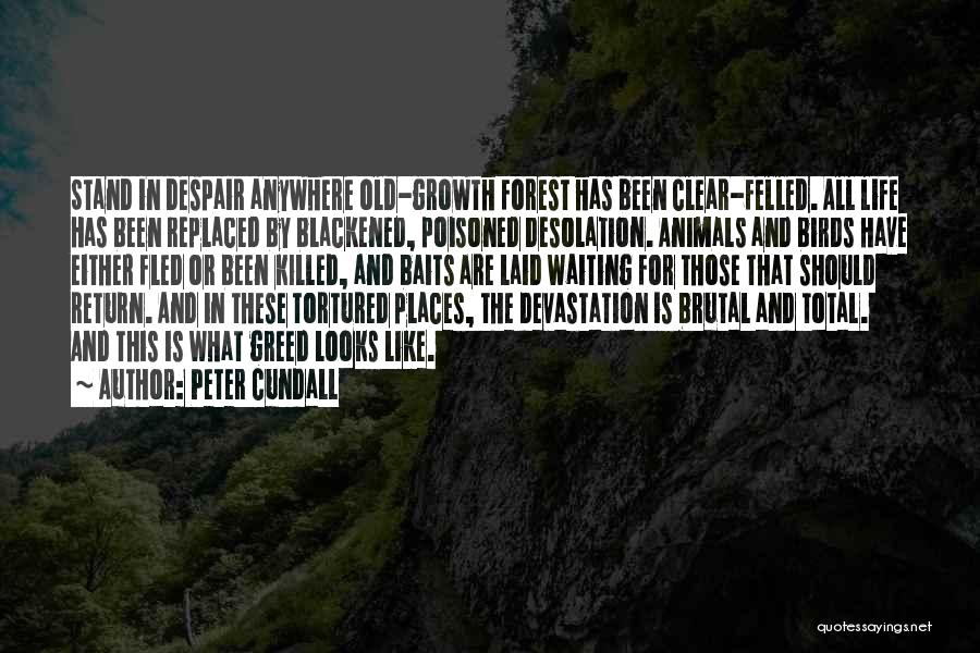 Birds And Life Quotes By Peter Cundall