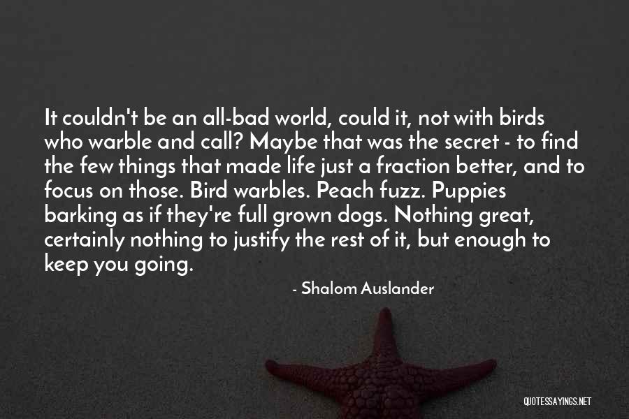 Birds And Life Quotes By Shalom Auslander