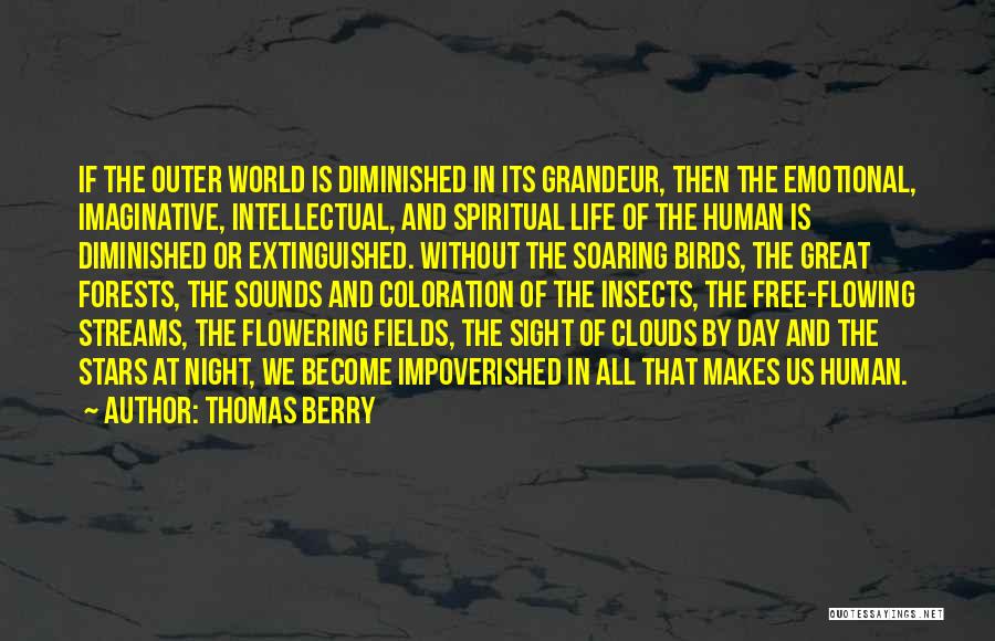 Birds And Life Quotes By Thomas Berry