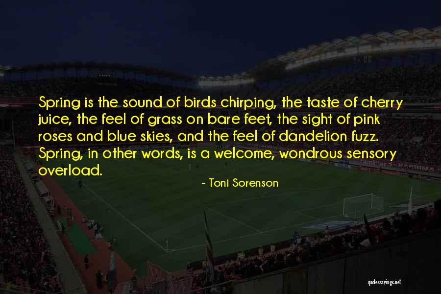 Birds And Life Quotes By Toni Sorenson