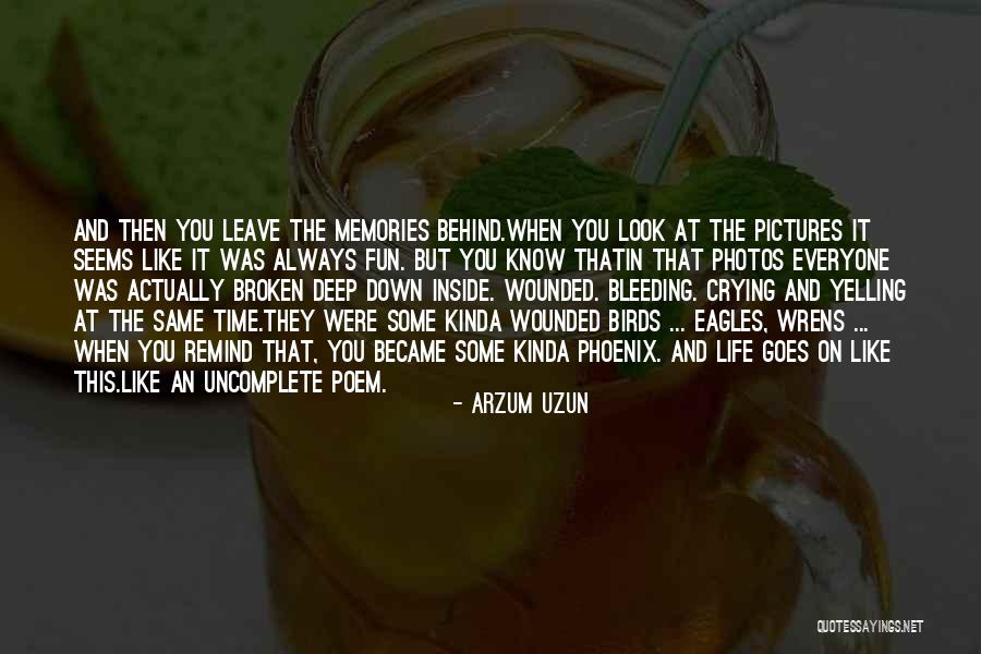 Birds And Love Quotes By Arzum Uzun Birds And Love Quotes By Arzum Uzun