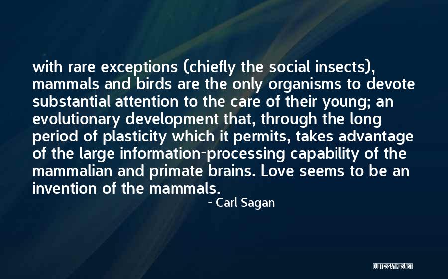 Birds And Love Quotes By Carl Sagan Birds And Love Quotes By Carl Sagan