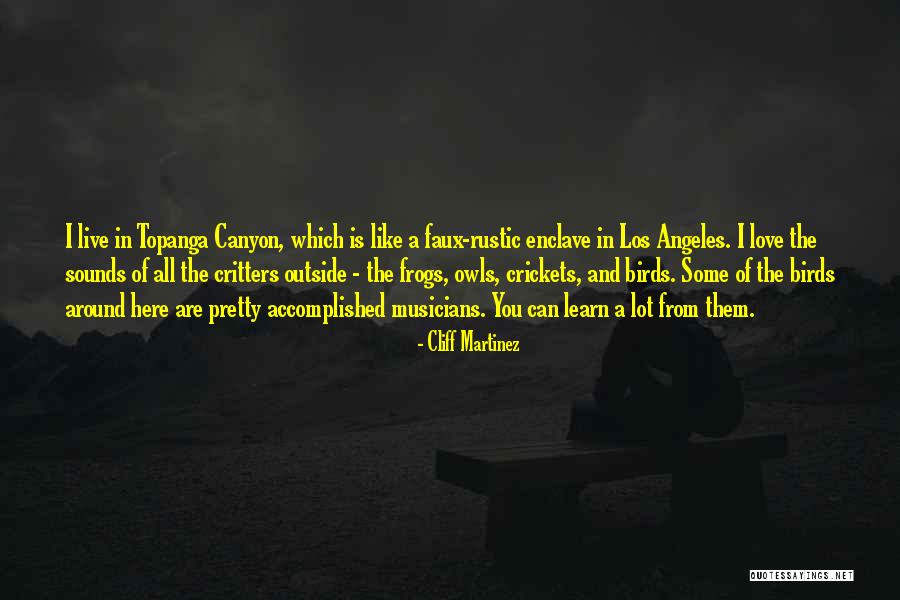 Birds And Love Quotes By Cliff Martinez Birds And Love Quotes By Cliff Martinez