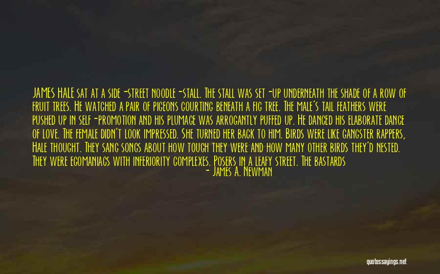 Birds And Love Quotes By James A. Newman Birds And Love Quotes By James A. Newman