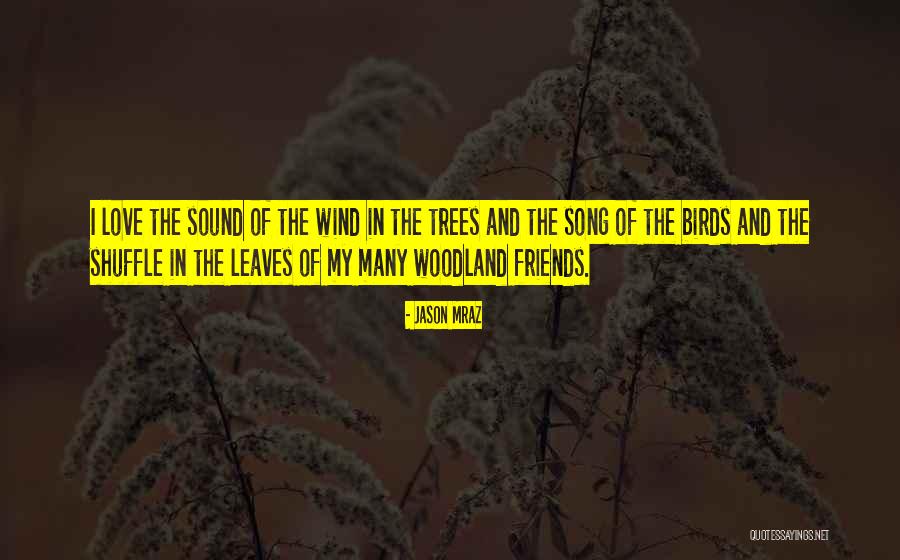 Birds And Love Quotes By Jason Mraz Birds And Love Quotes By Jason Mraz