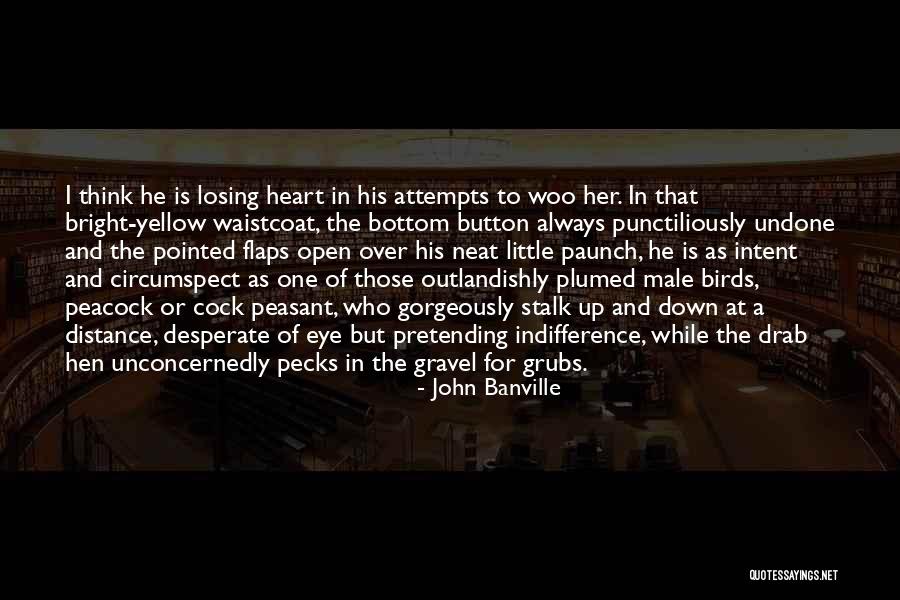 Birds And Love Quotes By John Banville Birds And Love Quotes By John Banville