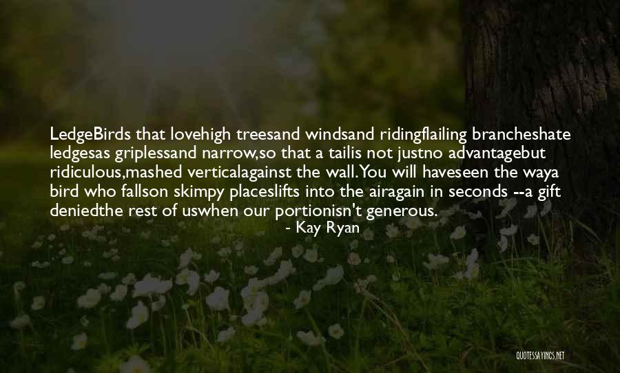 Birds And Love Quotes By Kay Ryan Birds And Love Quotes By Kay Ryan