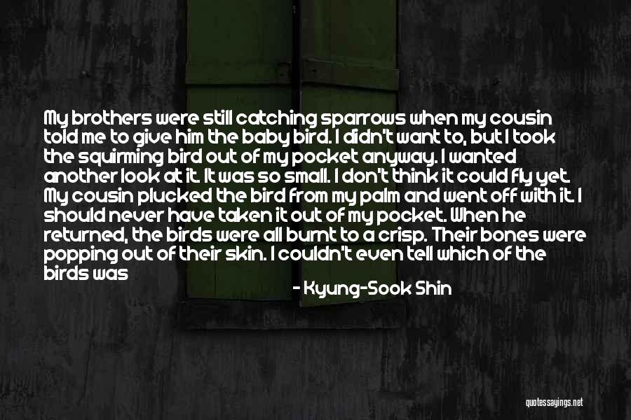 Birds And Love Quotes By Kyung-Sook Shin Birds And Love Quotes By Kyung-Sook Shin