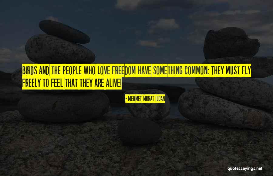 Birds And Love Quotes By Mehmet Murat Ildan Birds And Love Quotes By Mehmet Murat Ildan