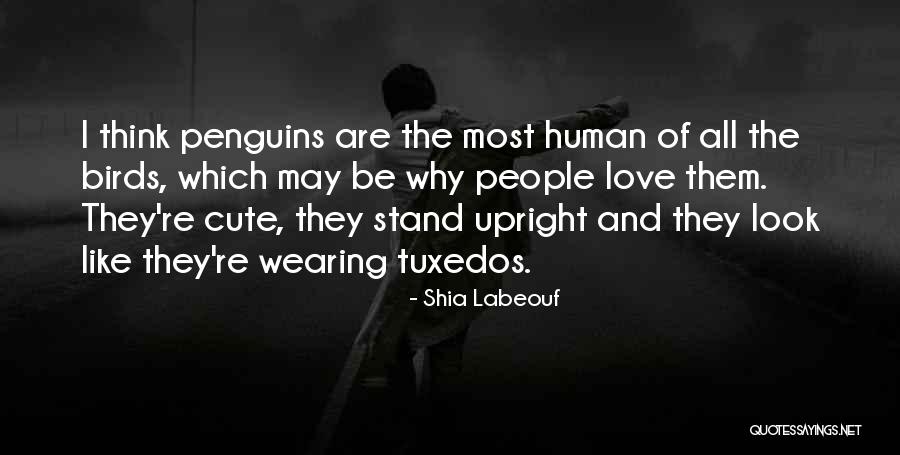 Birds And Love Quotes By Shia Labeouf Birds And Love Quotes By Shia Labeouf