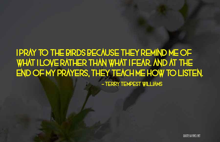 Birds And Love Quotes By Terry Tempest Williams Birds And Love Quotes By Terry Tempest Williams