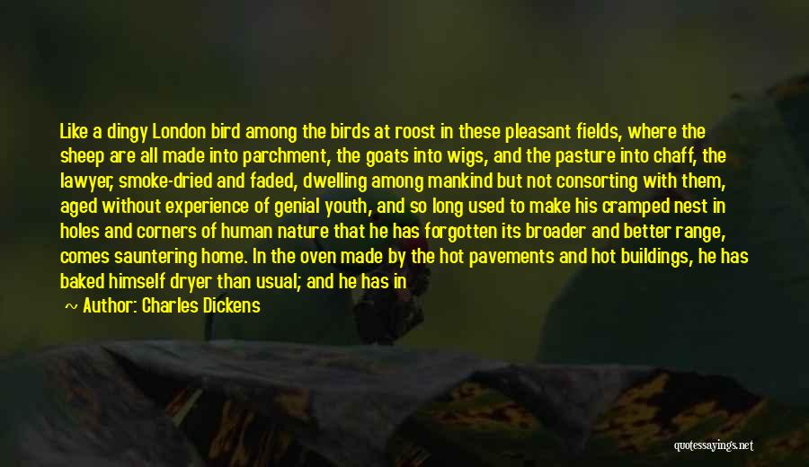 Birds And Nature Quotes By Charles Dickens