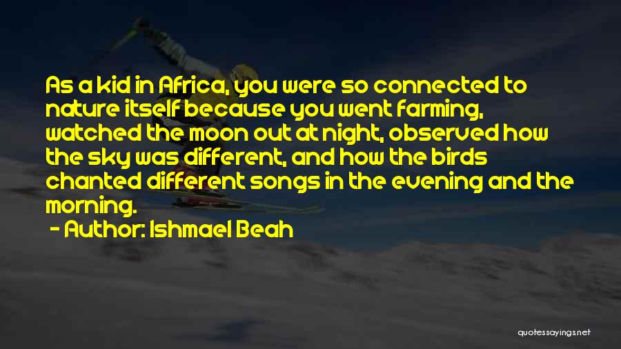 Birds And Nature Quotes By Ishmael Beah