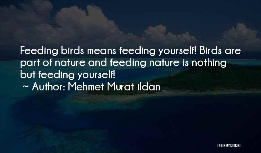 Birds And Nature Quotes By Mehmet Murat Ildan