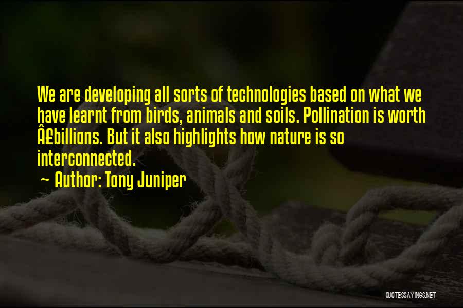 Birds And Nature Quotes By Tony Juniper