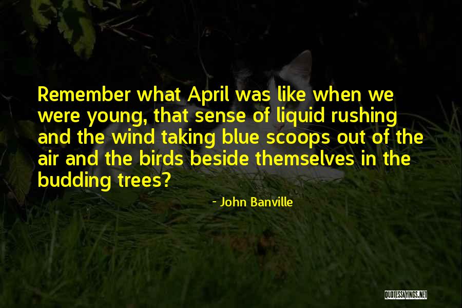 Birds And Trees Quotes By John Banville Birds And Trees Quotes By John Banville