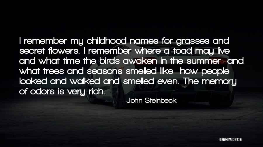 Birds And Trees Quotes By John Steinbeck Birds And Trees Quotes By John Steinbeck