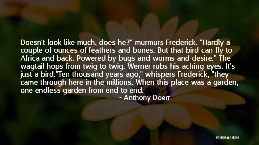 Birds Can Fly Quotes By Anthony Doerr Birds Can Fly Quotes By Anthony Doerr