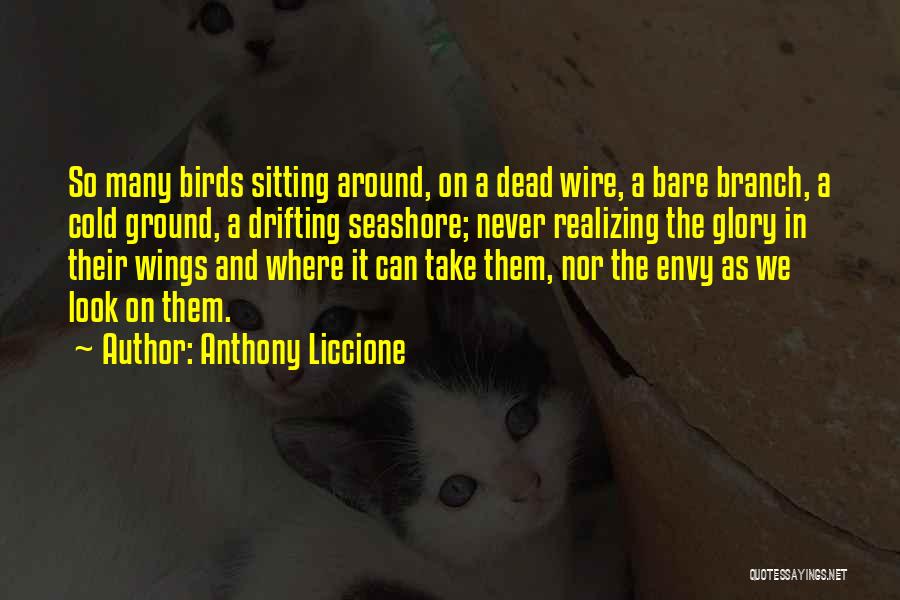 Birds Can Fly Quotes By Anthony Liccione