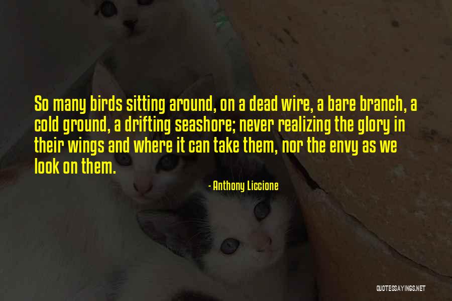 Birds Can Fly Quotes By Anthony Liccione