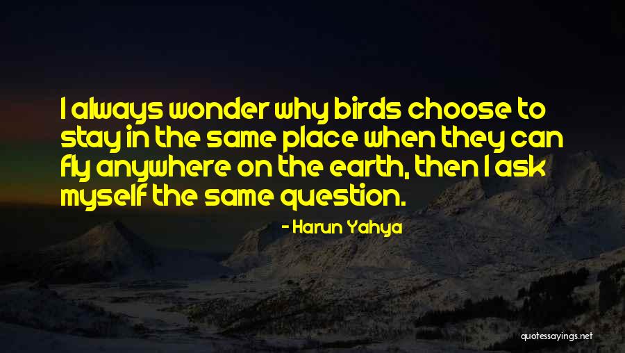 Birds Can Fly Quotes By Harun Yahya Birds Can Fly Quotes By Harun Yahya