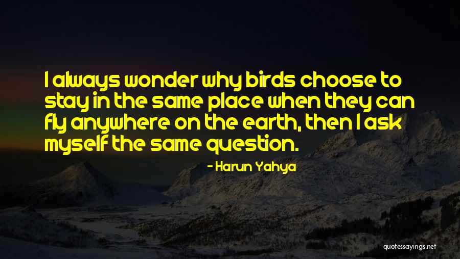 Birds Can Fly Quotes By Harun Yahya