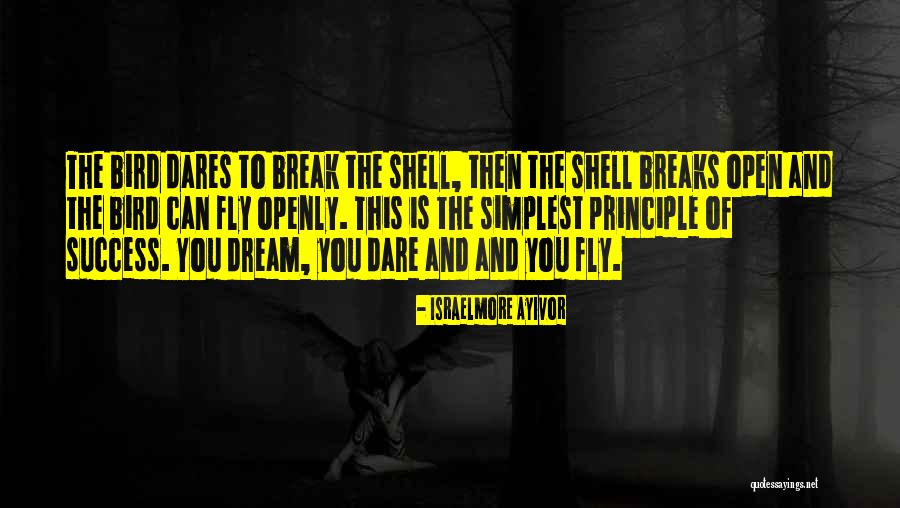 Birds Can Fly Quotes By Israelmore Ayivor Birds Can Fly Quotes By Israelmore Ayivor