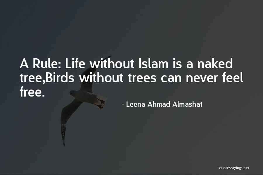 Birds Can Fly Quotes By Leena Ahmad Almashat Birds Can Fly Quotes By Leena Ahmad Almashat