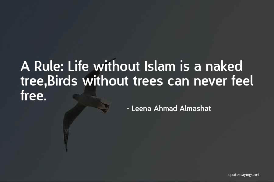 Birds Can Fly Quotes By Leena Ahmad Almashat