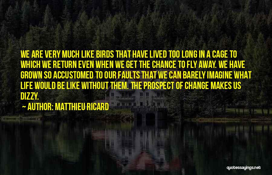 Birds Can Fly Quotes By Matthieu Ricard