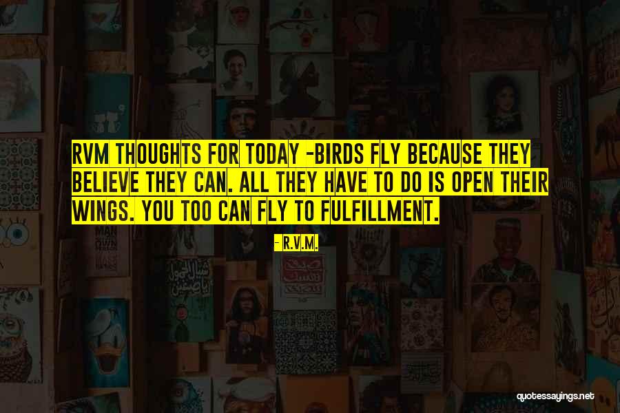 Birds Can Fly Quotes By R.v.m.