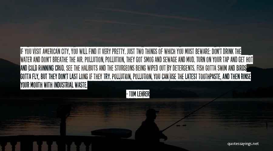 Birds Can Fly Quotes By Tom Lehrer Birds Can Fly Quotes By Tom Lehrer