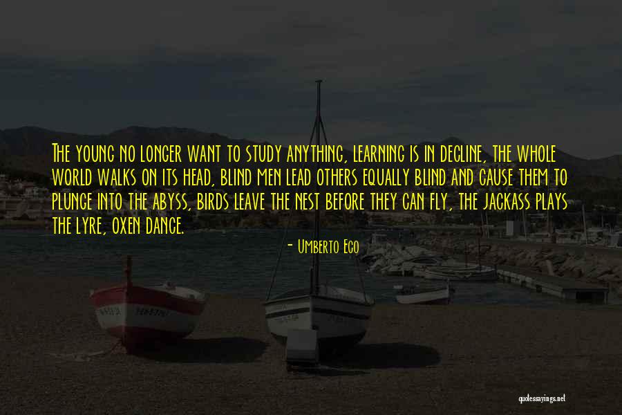 Birds Can Fly Quotes By Umberto Eco Birds Can Fly Quotes By Umberto Eco