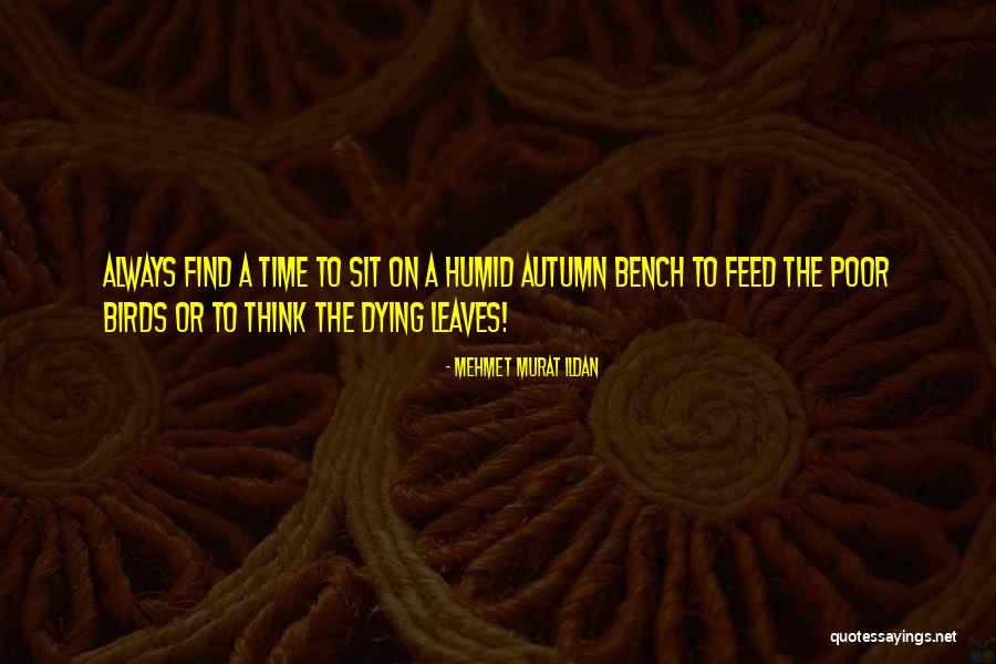 Birds Dying Quotes By Mehmet Murat Ildan Birds Dying Quotes By Mehmet Murat Ildan
