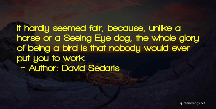 Birds Eye Quotes By David Sedaris