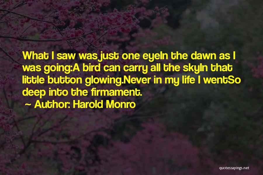 Birds Eye Quotes By Harold Monro