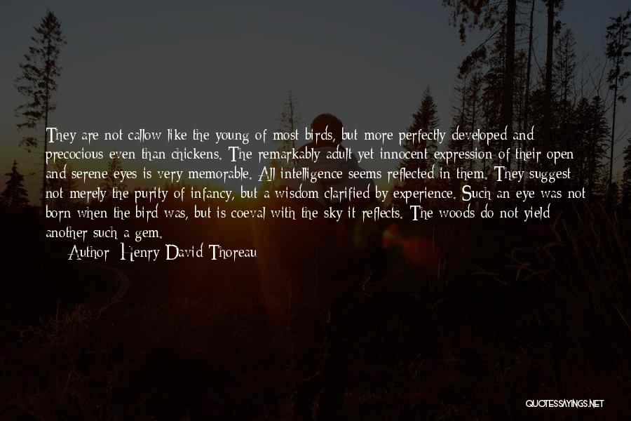 Birds Eye Quotes By Henry David Thoreau