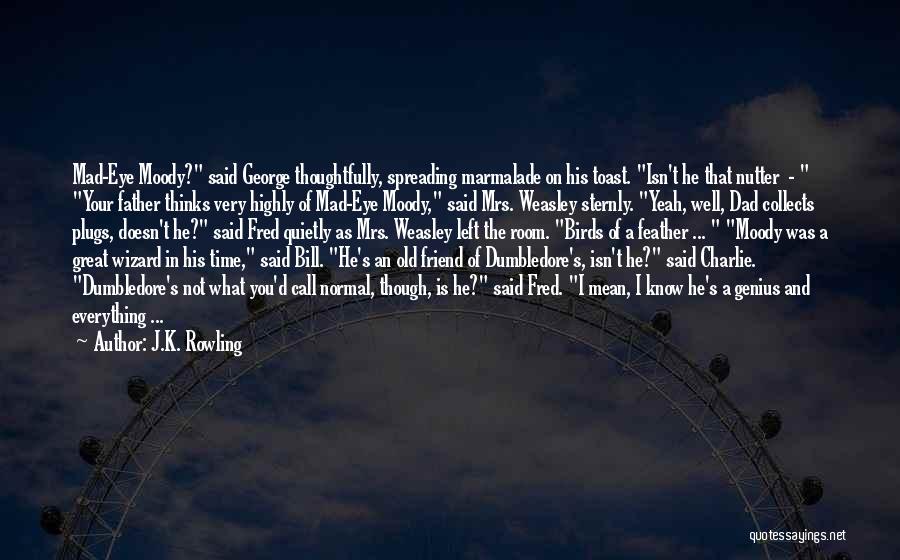 Birds Eye Quotes By J.K. Rowling