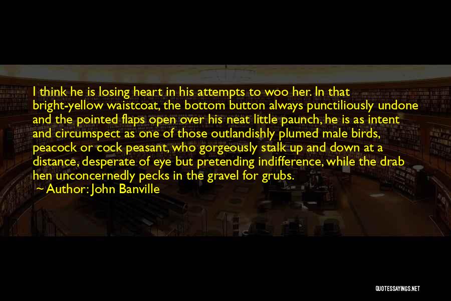 Birds Eye Quotes By John Banville