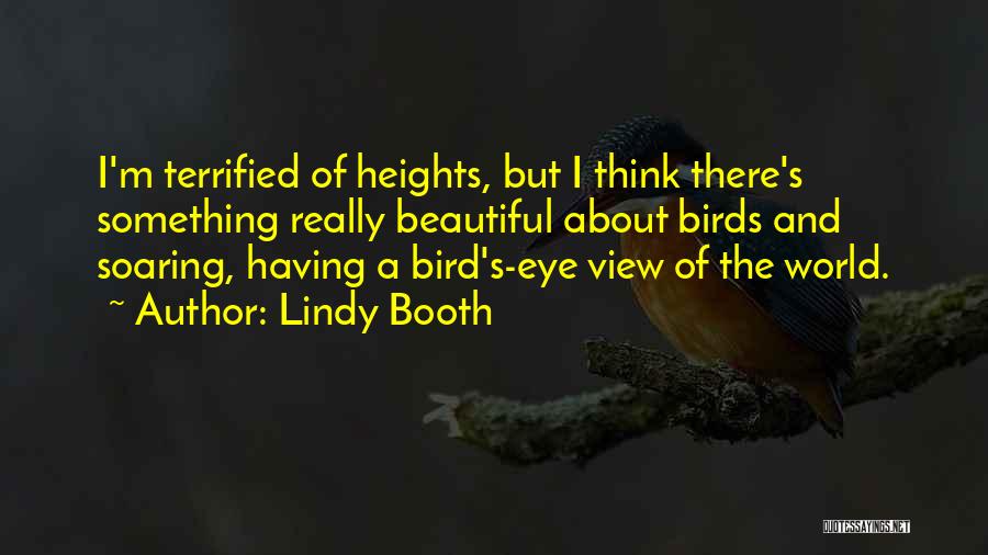 Birds Eye Quotes By Lindy Booth