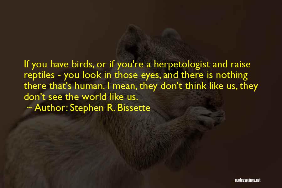 Birds Eye Quotes By Stephen R. Bissette